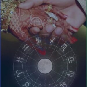shreenath ji astraloger (14)